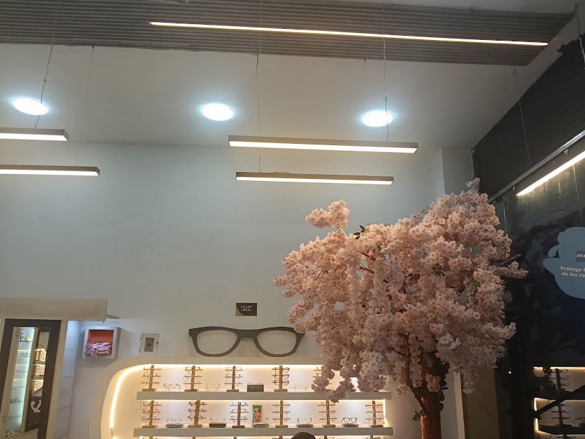 Optica Consultorio Visual K&AN