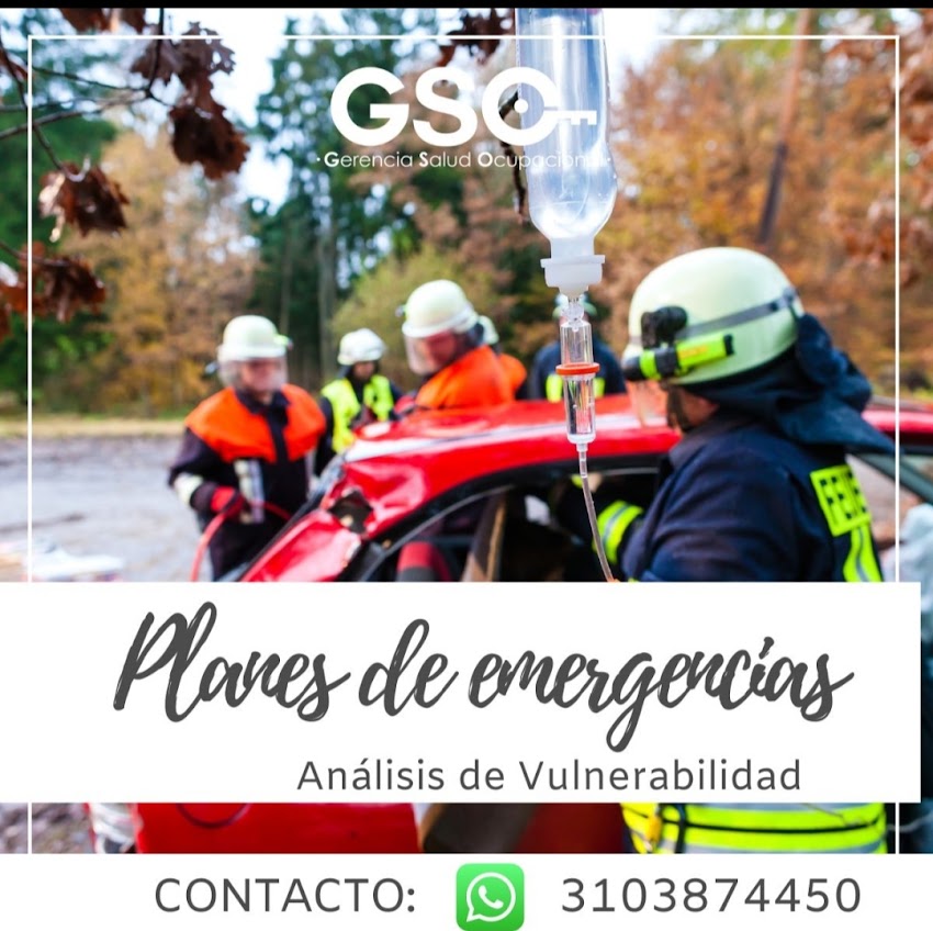 GSO Gerencia Salud Ocupacional