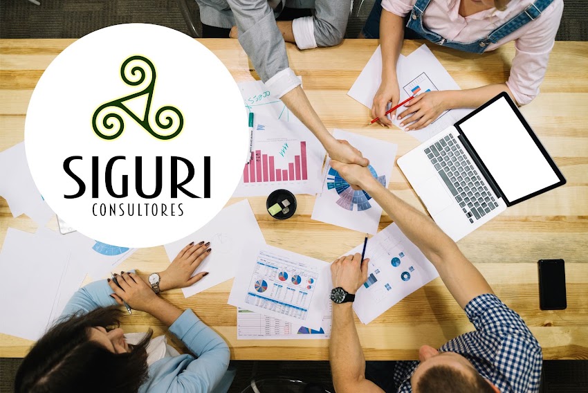 Siguri Consultores