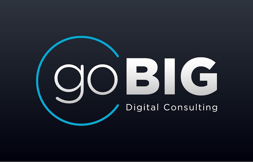 goBIG Digital Consulting