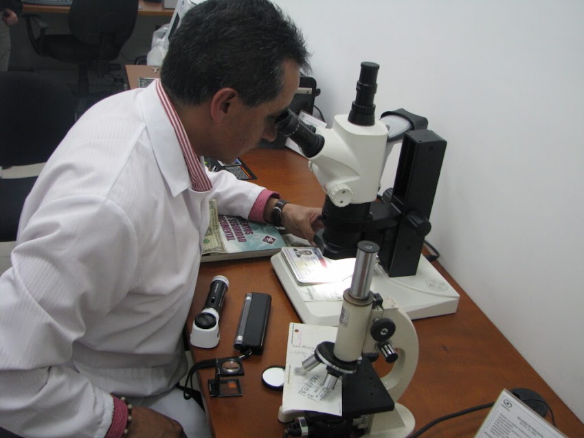 CONSULTORES FORENSES