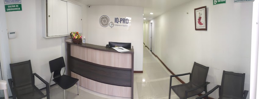 IQ PRO CONSULTORÍA Y SEGUIRDAD