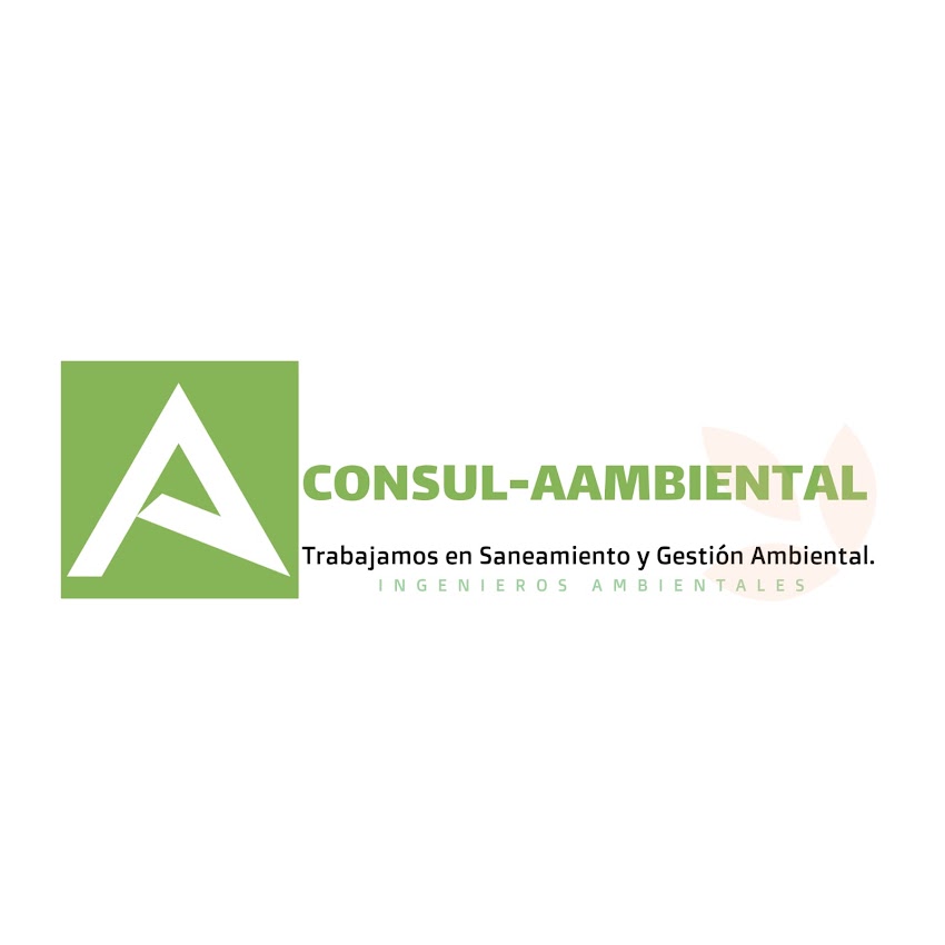 Consul-aambiental