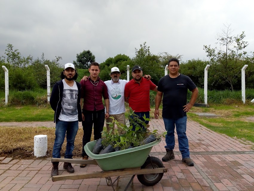 Fundación Red de Árboles – Siembra de árboles