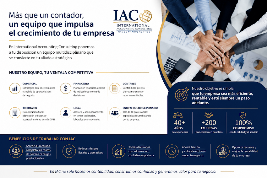 International Accounting Consulting