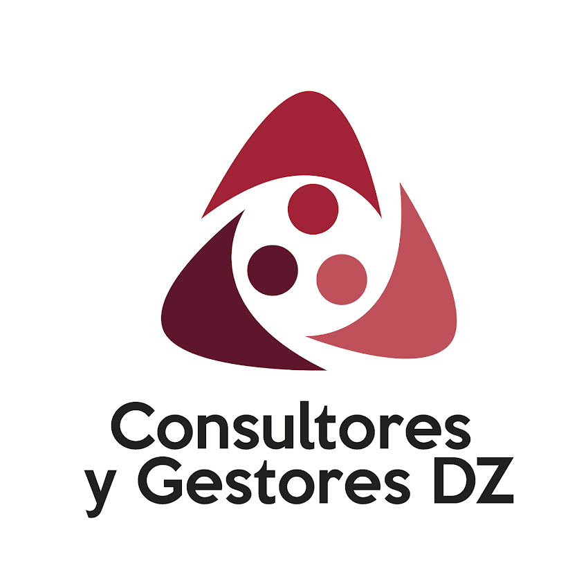 CONSULTORES Y GESTORES DZ SAS