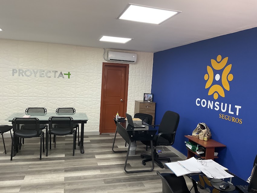 Consult Seguros Ltda