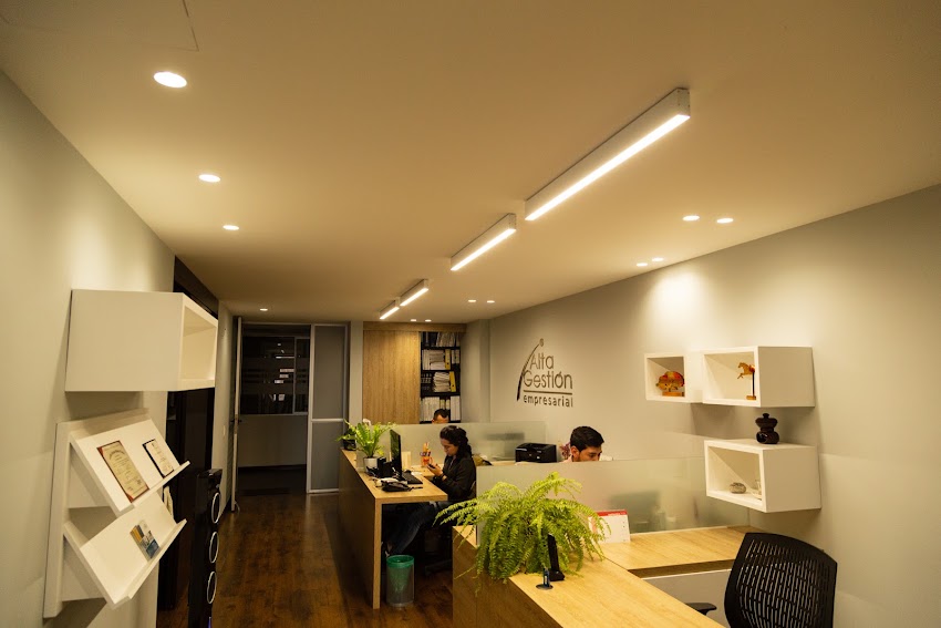 ALTA GESTIÓN EMPRESARIAL S.A.S.