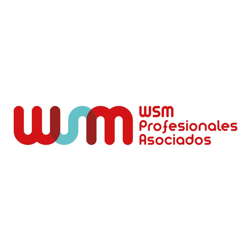 WSM Profesionales Asociados