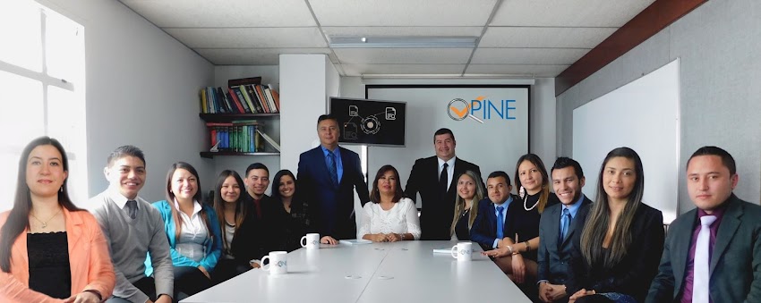 opine consultores sas