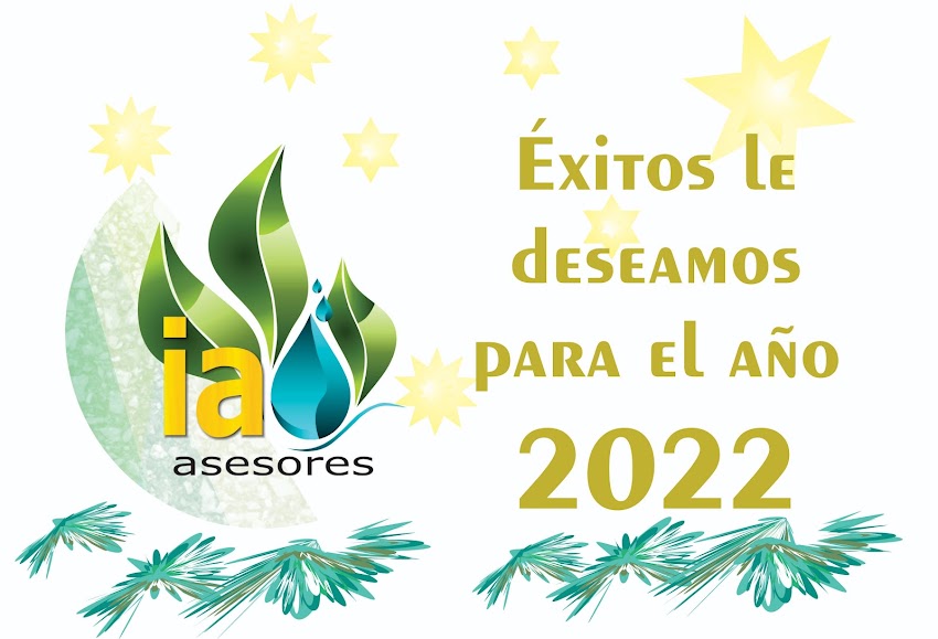 IA Asesores SAS