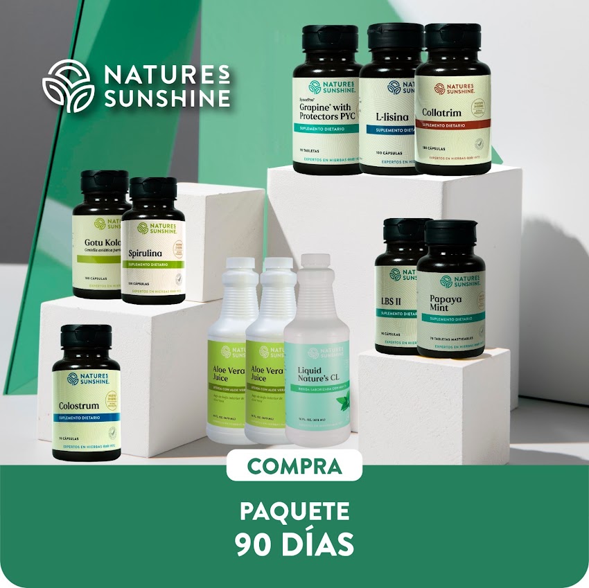 Consultor NSP