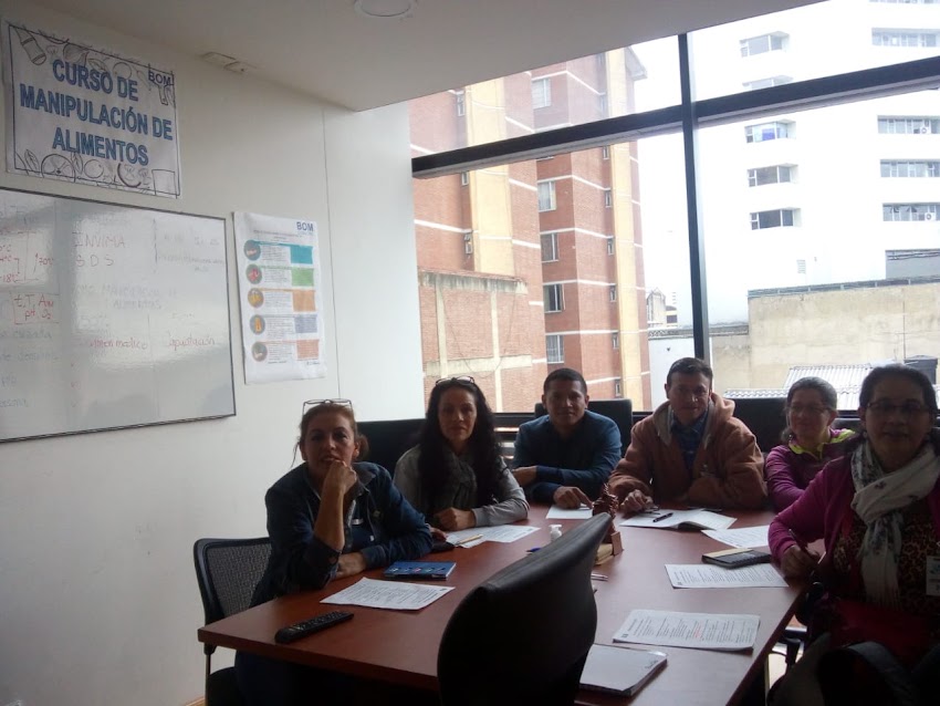 BOM CONSULTING GROUP SAS