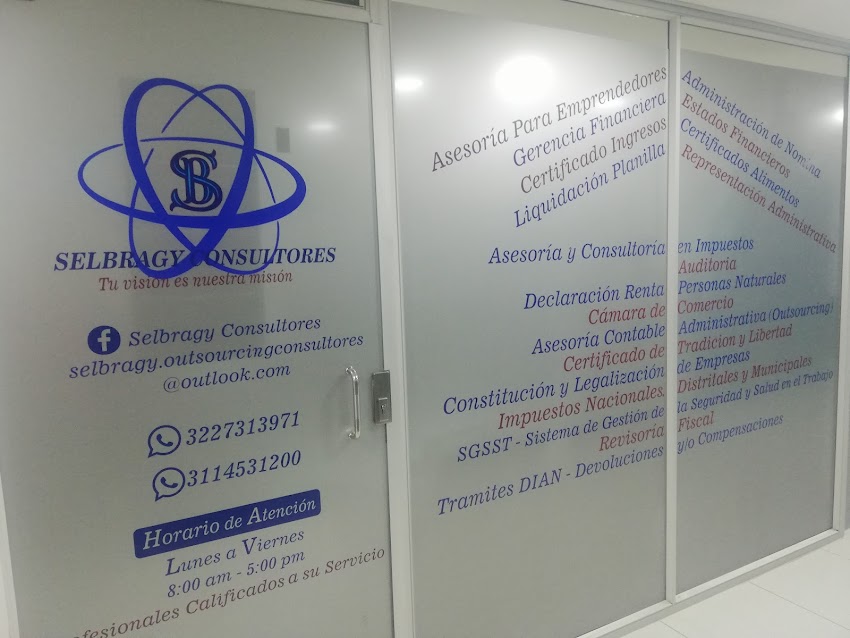 Selbragy Consultores