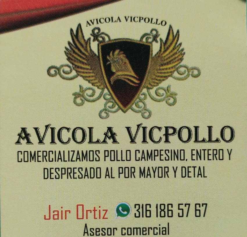 Venta de pollo campesino y pollo blanco