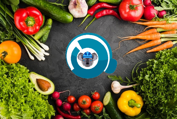 SISQ S.A.S.Su Instalación Segura Qualisst