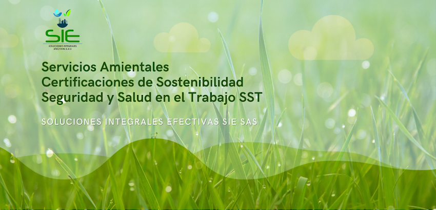 Soluciones Integrales Efectivas S.I.E. SAS