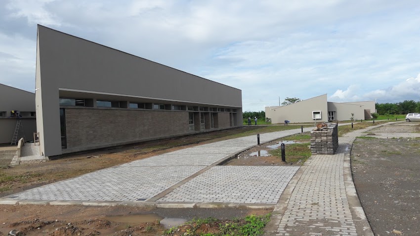CREA MANAGEMENT