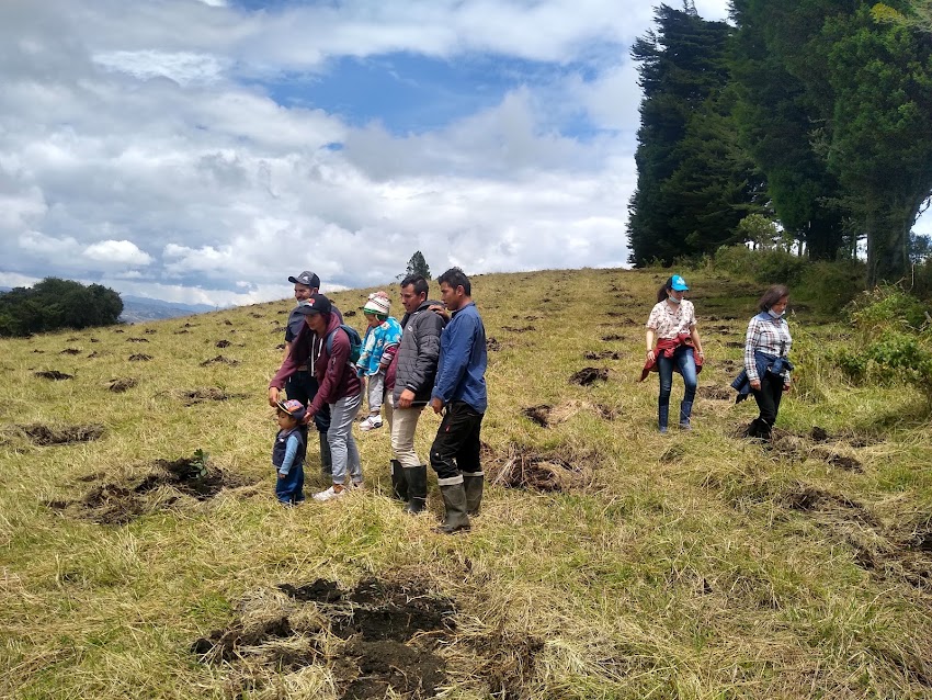 Tierra Viva Escarabajos