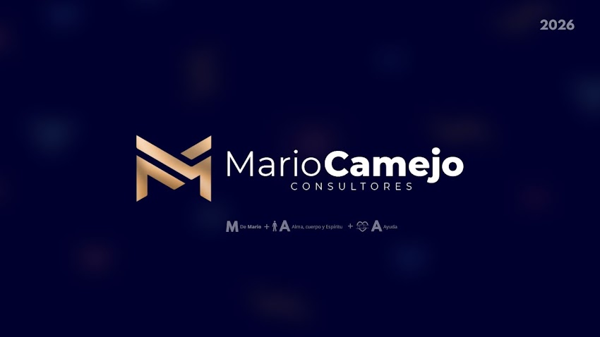 Mario Camejo Consultores