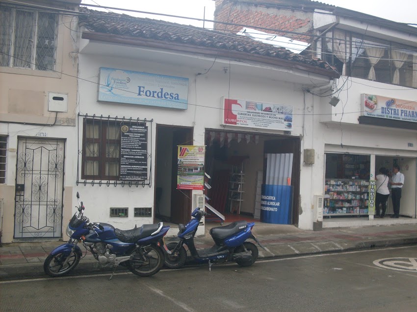 Empresa Nacional de Consultorias Integrales S.A.S