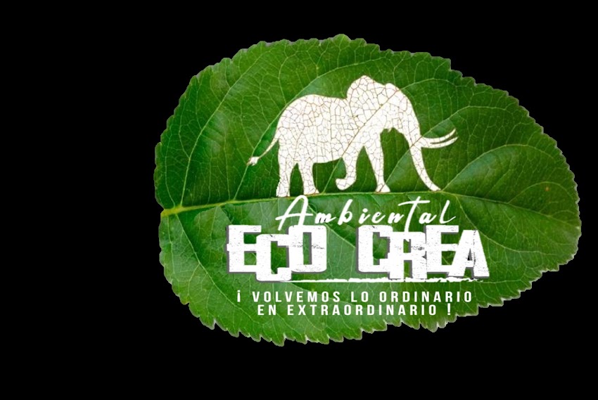 Fundación Feepdis-Sede Medellín