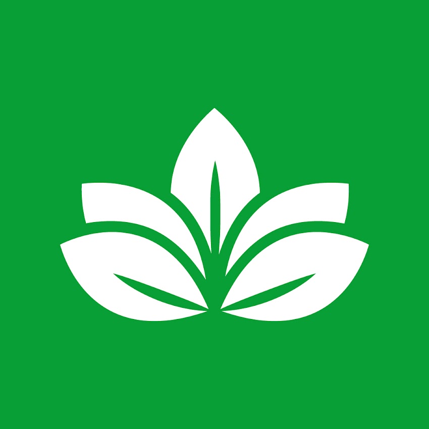 Nelumbo Consultores