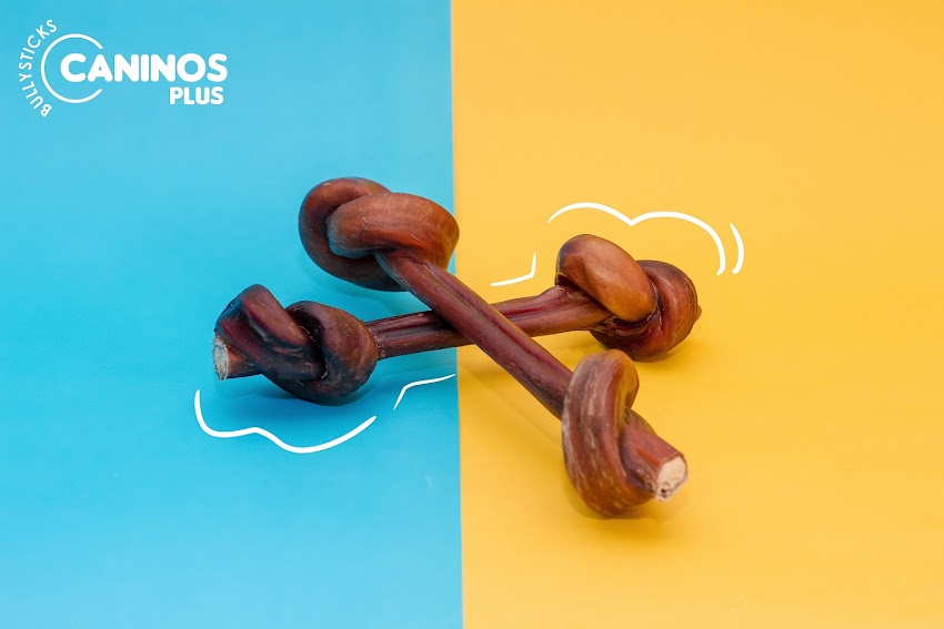 Industria Caninos Plus