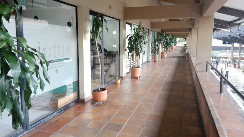 Intus. Evolución desde la función