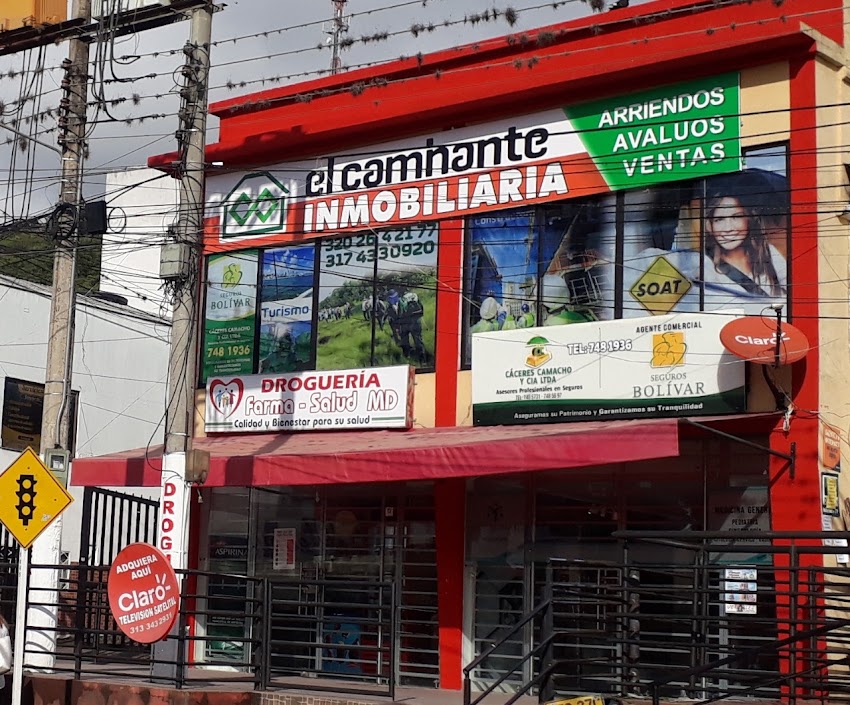 INMOBILIARIA EL CAMINANTE