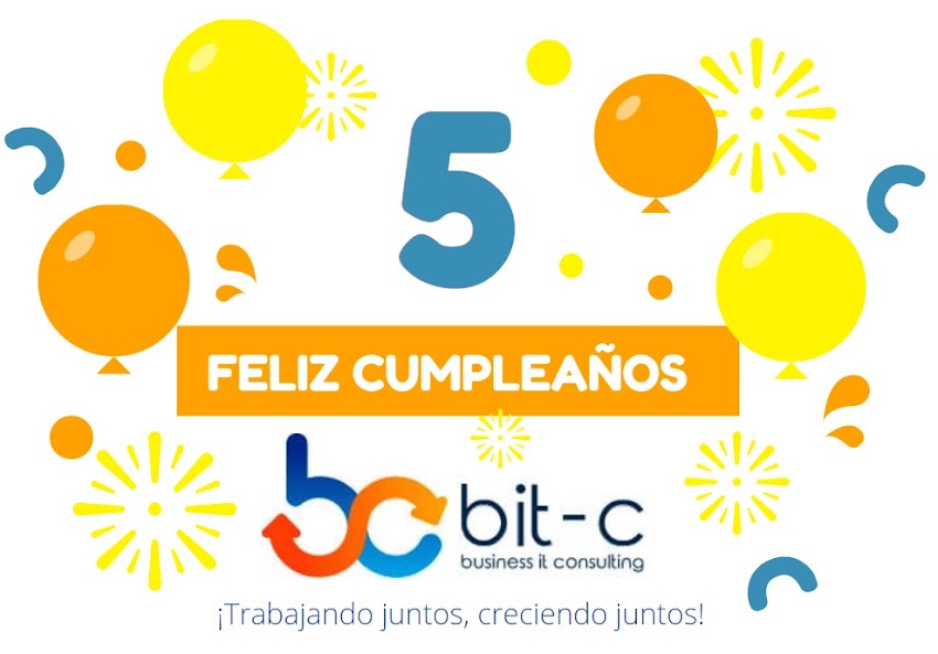 BIT-C Business IT Consulting SAS