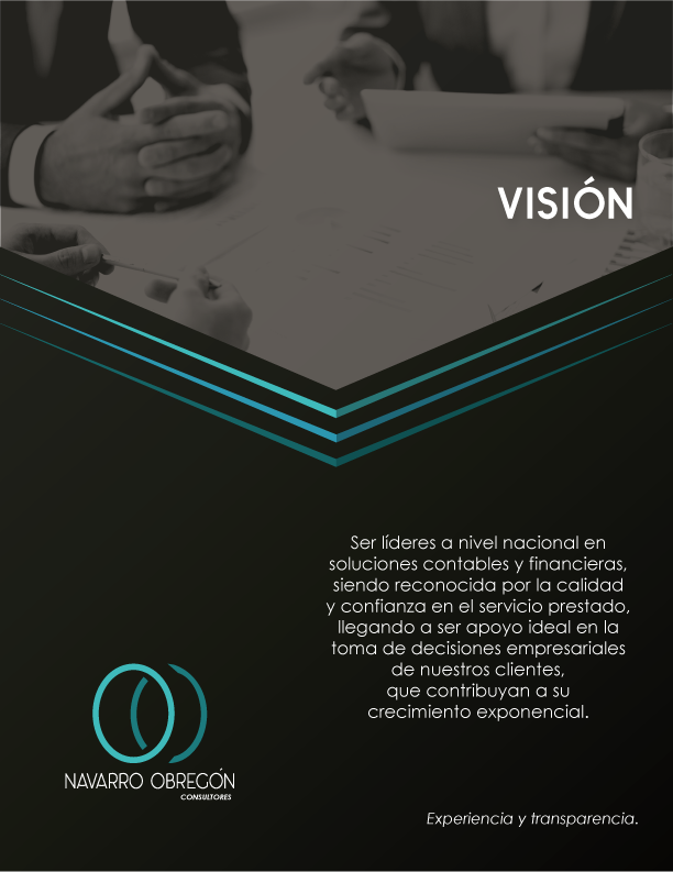 Consultor/ Navarro Obregon