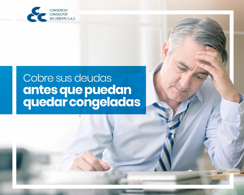 Consorcio Consultor en Crédito S.A.S
