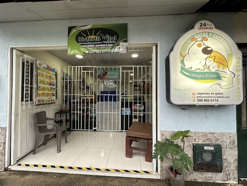 CONSULTORIO VETERINARIO GATOS Y CACHORROS – Veterinarios – Peluquerias Caninas – Consultas Veterinarias