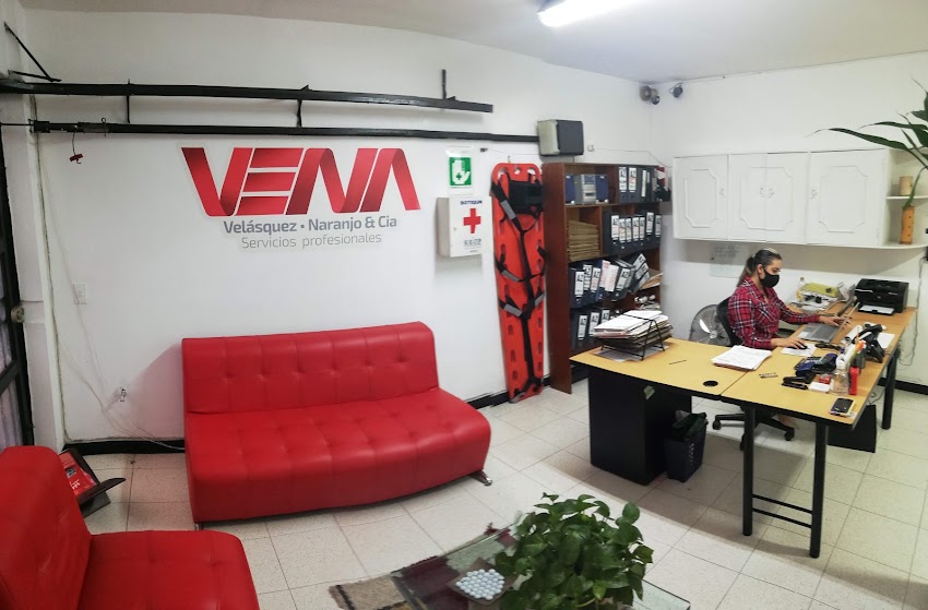 VENA – Desarrollo Integral Empresarial
