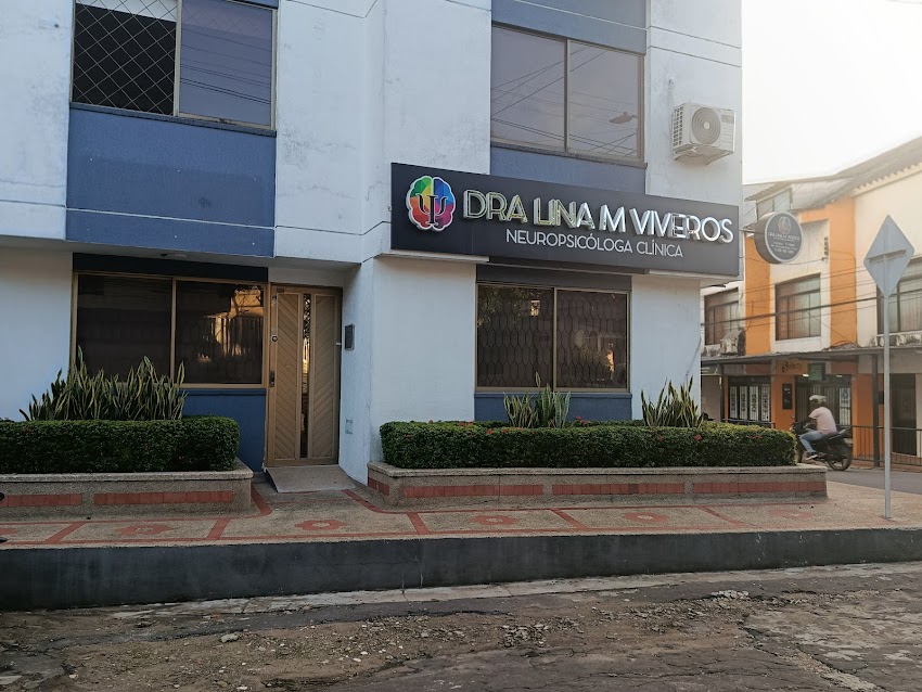 Consultorio Neuropsicológico Dra Lina Marcela Viveros González