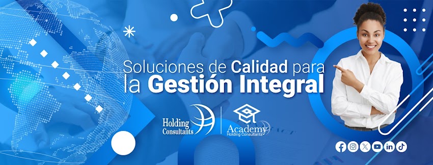 Holding Consultants