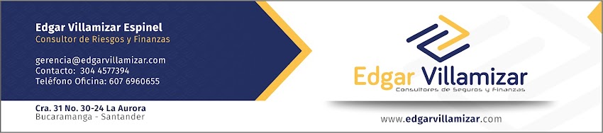 Edgar Villamizar Consultores