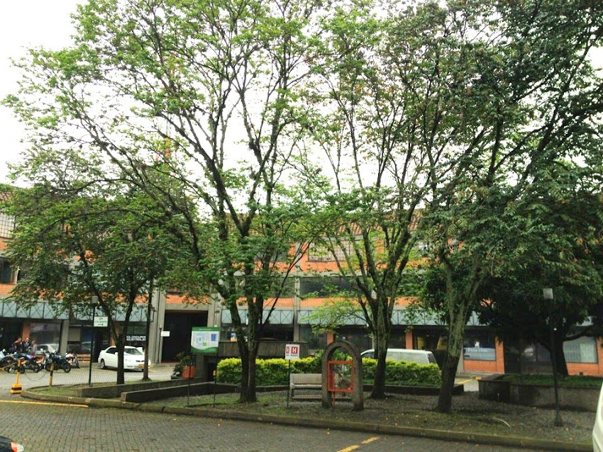 Valor Percibido