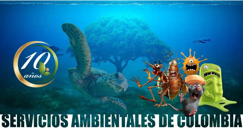 Ambicol Services S.A.S.