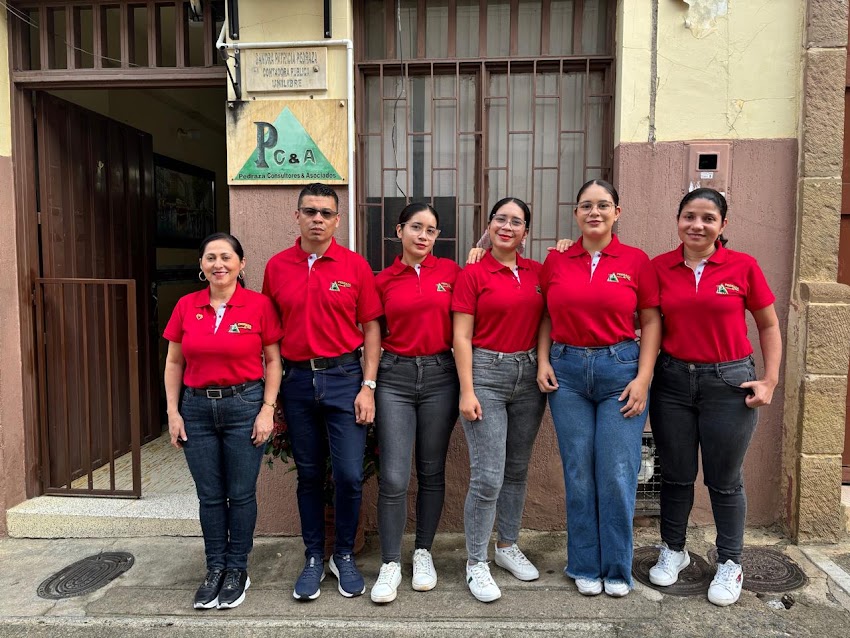 Pedraza Consultores