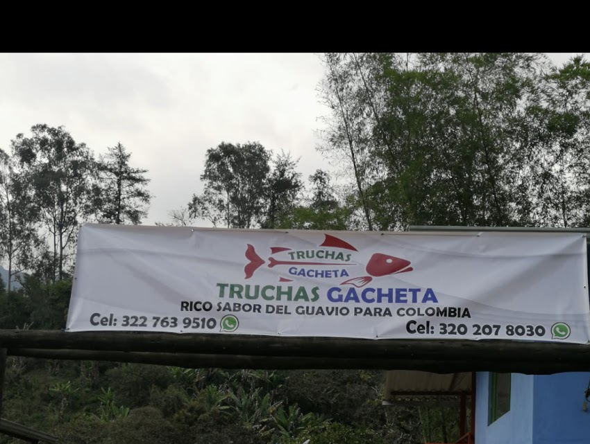 TRUCHAS GACHETA