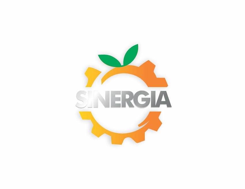 Sinergia Consultoría empresarial alimentaria