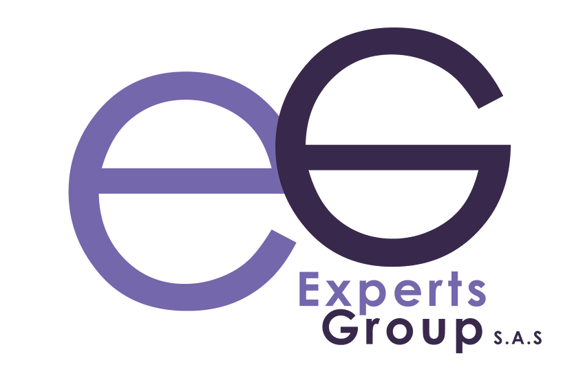 Experts Group SAS