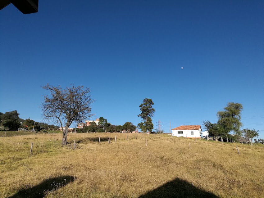 Lote San Bernardo