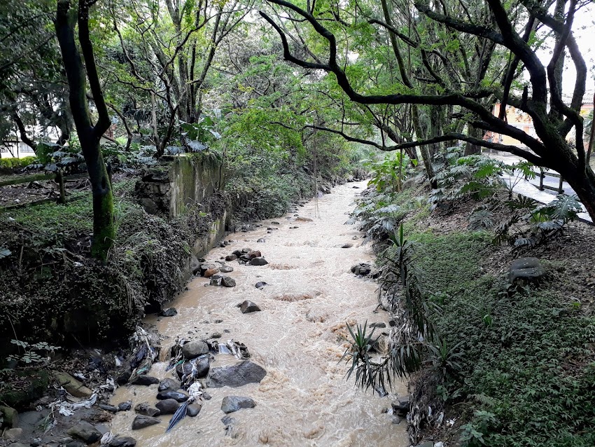 Ecosar Consultoría Sostenible