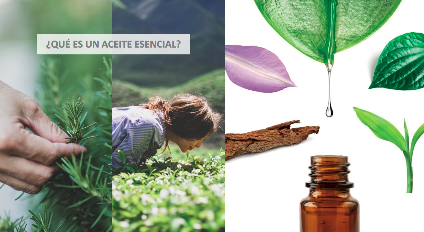 Aceites Esenciales Just en Bogotá – Consultora Independiente