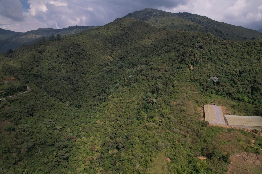 Asoaveaguas caluce