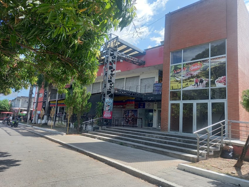 Machado Consulting – Abogados en Tránsito y Fotomultas