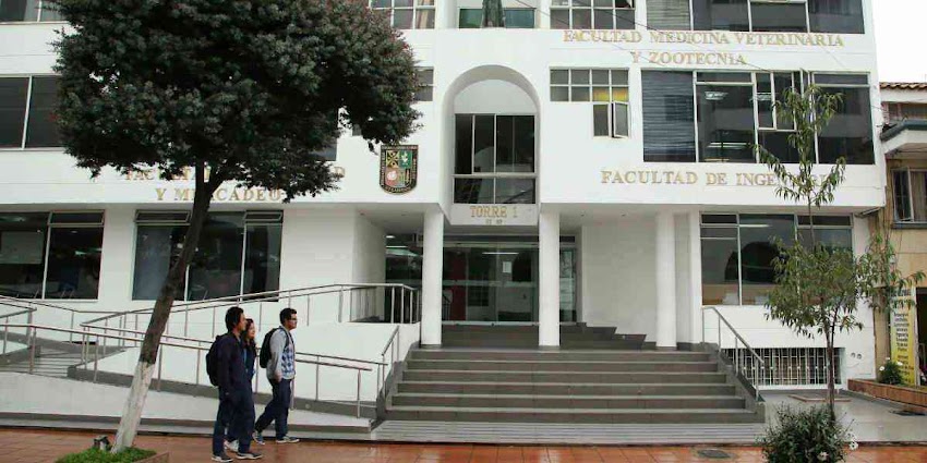 Consultorio Jurídico – Fundación Universitaria San Martín